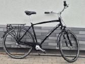 Tvarkingas ir patikimas Evobike Urbano 7005 Alu