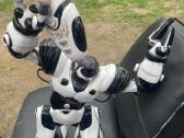Originalus Wowwee Robosapien V1 2004m su pultu