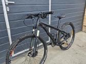 Scott s size - nuotraukos Nr. 2
