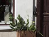 Lauko vazonai, žiedai sodinimui - nuotraukos Nr. 7