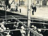 Uosto fotografija Klaipėda Memel 1930 m. - nuotraukos Nr. 3