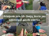 Spiningo komplektas ešeriams (Naujas) - nuotraukos Nr. 4