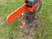Husqvarna 40 ir 242xpg - nuotraukos Nr. 4