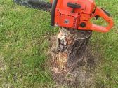 Husqvarna 40 ir 242xpg - nuotraukos Nr. 5