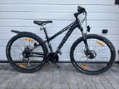 Trek dviratis