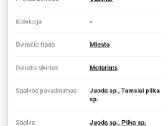 Dviratis moterims - nuotraukos Nr. 3