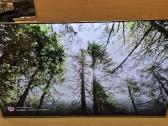 Naudotas LED 4k Smart TV Horion 75" 190cm W-fi - nuotraukos Nr. 6