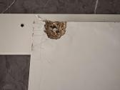 Parduodama Ikea Hemnes kušetė / lovos rėmas su 3s - nuotraukos Nr. 7