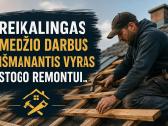 Ieškomas vyras medžio darbams prie stogo remonto