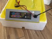 Automatinis inkubatorius