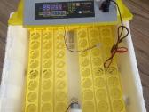 Automatinis inkubatorius - nuotraukos Nr. 2