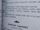 Senolių receptai arba kaip gydytis pačiam - nuotraukos Nr. 7