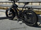 Beaster (fat bike),variklis-160nm. - nuotraukos Nr. 3