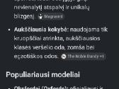 Odiniai batai - nuotraukos Nr. 7