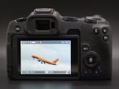 Canon R8 ir Rf 24-50mm. - nuotraukos Nr. 5