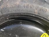 Dalimis - nuotraukos Nr. 12