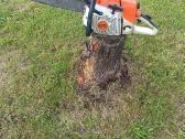 242xpg Stihl ms280 - nuotraukos Nr. 4