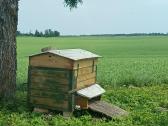 Aviliai su byčių šeimomis - nuotraukos Nr. 3