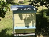 Parduodu avilius su šeimomis, kaina nuo 50 iki 180 - nuotraukos Nr. 4