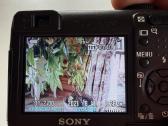 Sony Cyber-shot Dsc-w12 - nuotraukos Nr. 6