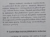 Karšti bulvių patiekalai - nuotraukos Nr. 5