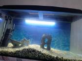 Akvariumas 200l