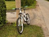 Specialized Big Hit III fsr