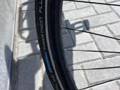Pegasus Premio EVO 10 lite - nuotraukos Nr. 5