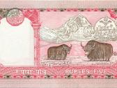 Nepal 5 rupees 2003-2006. Unc. P