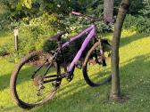 Hardtail dviratis