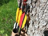 Barnett Quicksilver lankas - nuotraukos Nr. 5