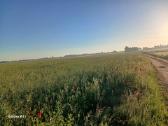 2,96ha dirbama žemė, našumas 62, Kėdainių r.,