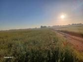 2,96ha dirbama žemė, našumas 62, Kėdainių r., - nuotraukos Nr. 2