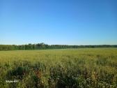 2,96ha dirbama žemė, našumas 62, Kėdainių r., - nuotraukos Nr. 3