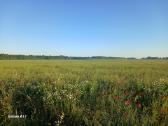 2,96ha dirbama žemė, našumas 62, Kėdainių r., - nuotraukos Nr. 4