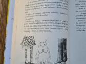 Kukū iš pašto dėžutės - nuotraukos Nr. 8