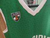 Žalgirio apraga