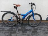 Transportas