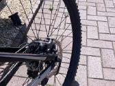 Giant hardtail carbon dviratis - nuotraukos Nr. 4