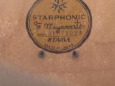 Tama Starphonic Maple Satin Map Burl 146 - nuotraukos Nr. 6