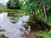Parduodu sodybą ,vienkiemį. 16 ha su žeme (5 sklp) - nuotraukos Nr. 3