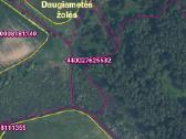 Parduodamas 60,28 arų žemės ūkio paskirties sklypa - nuotraukos Nr. 4