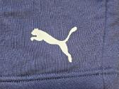 Puma vyriški šortai - nuotraukos Nr. 7