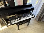 Casio Ctk-520l sintezatorius