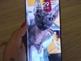 Huawei pura P70 - nuotraukos Nr. 6