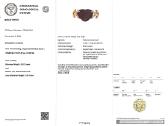 Žiedas su naturaliu, nekaitintu rubinu (6,27ct) - nuotraukos Nr. 9