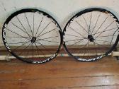 Mavic Ellipse Treko ratai