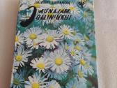 Jaunajam gėlininkui