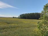 Sklypas Kauno rajono sav., Pavytėje, Pavytės g. - nuotraukos Nr. 7