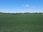 Komercinės paskirties sklypas Kauno r., Pavytės k. - nuotraukos Nr. 10